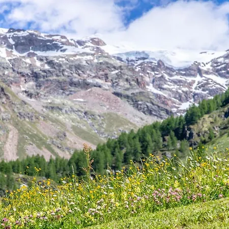 Aparthotel Alta Luce Mountain
