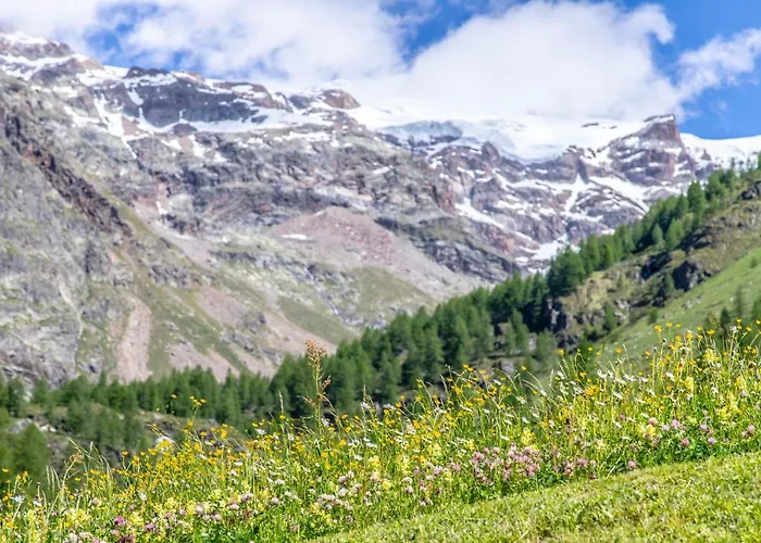 Aparthotel Alta Luce Mountain